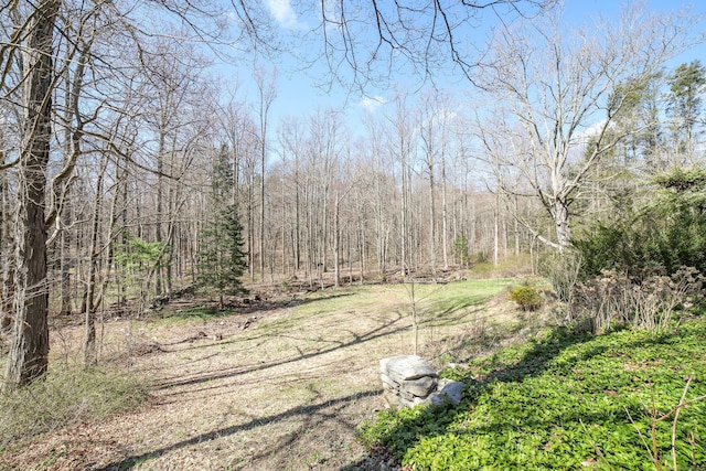 270 Berkshire Rd, Newtown, CT 06482 - view of local wilderness with a wooded view