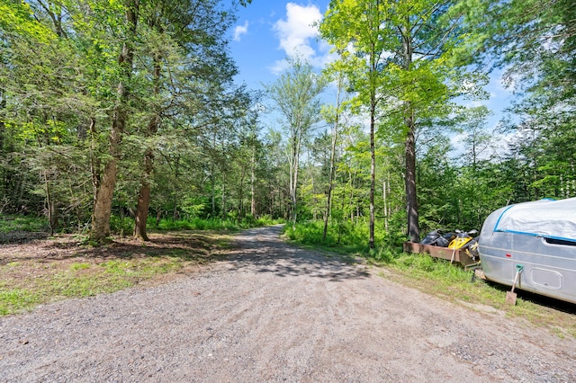 E Cornwall Rd, Goshen, CT 06756 - photo 2