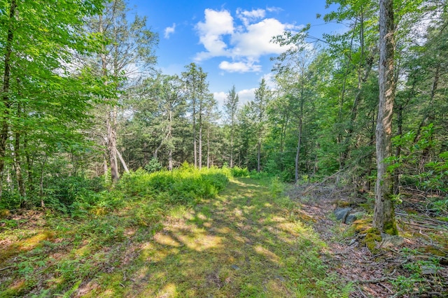 E Cornwall Rd, Goshen, CT 06756 - photo 7