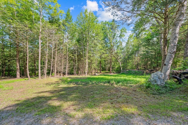 E Cornwall Rd, Goshen, CT 06756 - photo 8