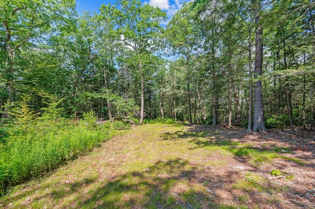 E Cornwall Rd, Goshen, CT 06756 - photo 9