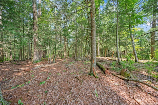 E Cornwall Rd, Goshen, CT 06756 - photo 11