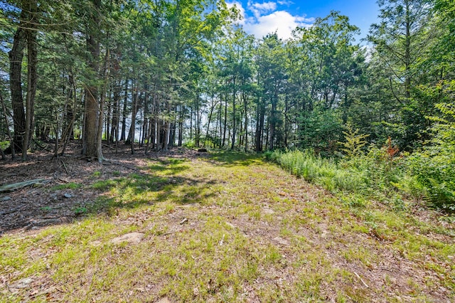 E Cornwall Rd, Goshen, CT 06756 - photo 12