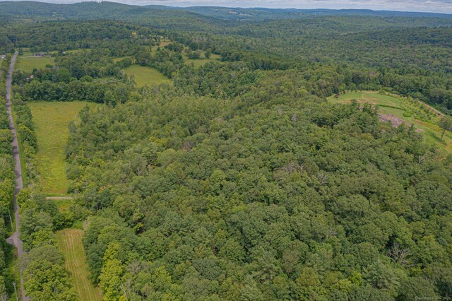 E Cornwall Rd, Goshen, CT 06756 - photo 15