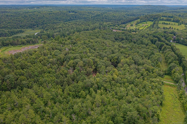 E Cornwall Rd, Goshen, CT 06756 - photo 16