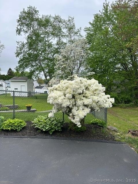 595 Bucks Hill Rd, Waterbury, CT 06704 - photo 15