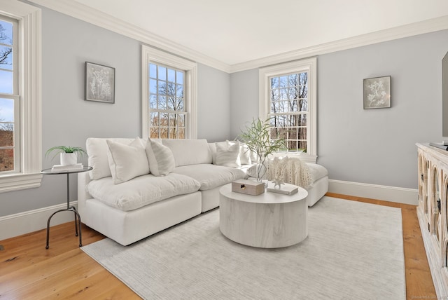 living area featuring baseboards, wood finished floors, and ornamental molding