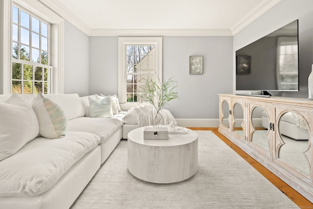 living room with baseboards, ornamental molding, and wood finished floors