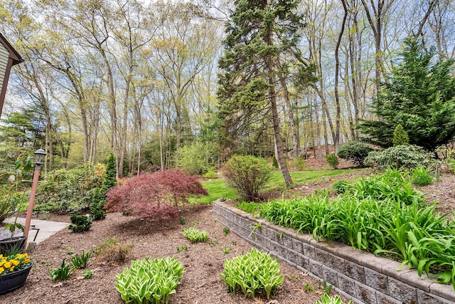 20 Sunrise Trl, East Lyme, CT 06333 - view of yard