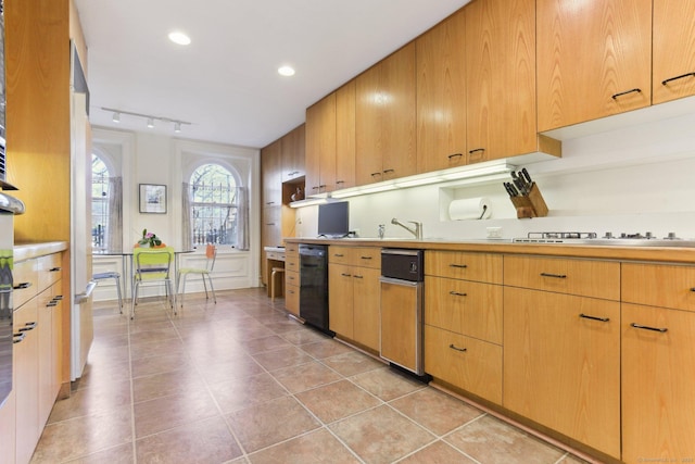 kitchen with stainless steel gas cooktop, light countertops, a sink, dishwasher, and rail lighting