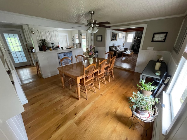 dining space featuring a wainscoted wall, light wood-style floors, and ceiling fan
