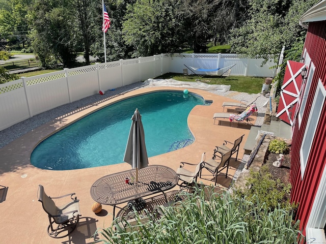 view of pool featuring a fenced in pool, a fenced backyard, and a patio area