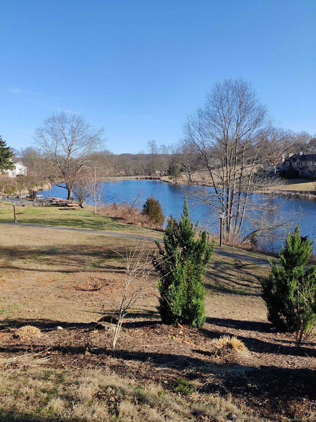 view of water feature