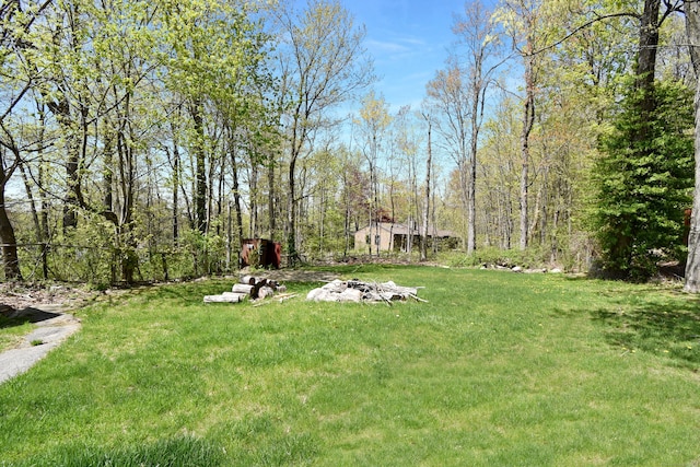 view of yard