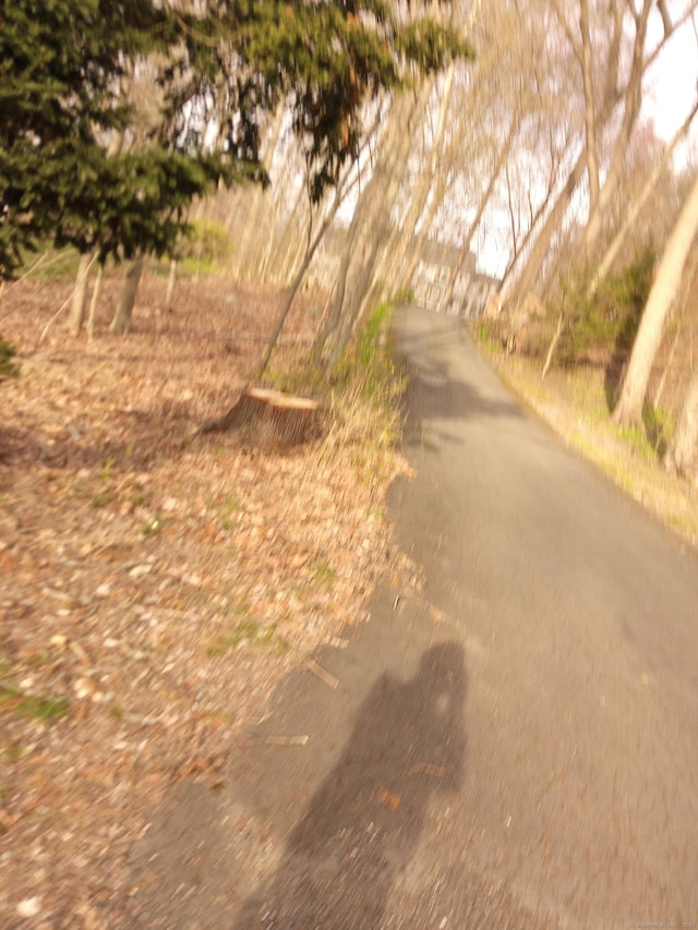 953 Rainbow Trl, Orange, CT 06477 - view of road