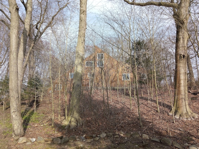 953 Rainbow Trl, Orange, CT 06477 - view of wooded area