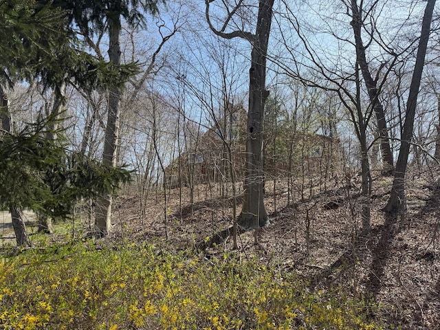 953 Rainbow Trl, Orange, CT 06477 - view of nature