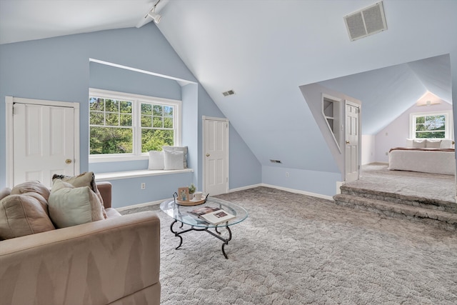 65 Joes Hill Rd, Danbury, CT 06811 - carpeted living room with vaulted ceiling, rail lighting, and plenty of natural light