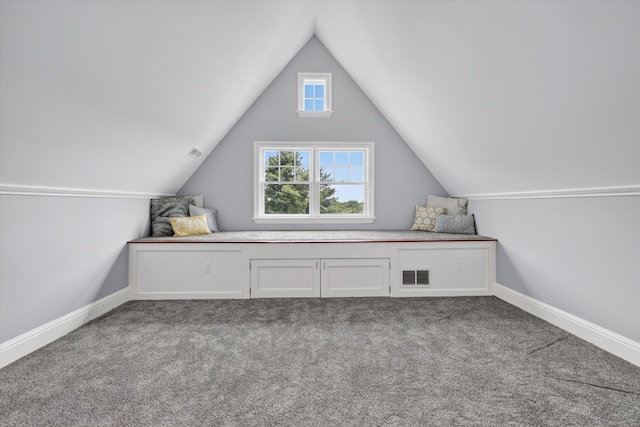 65 Joes Hill Rd, Danbury, CT 06811 - additional living space featuring vaulted ceiling and carpet