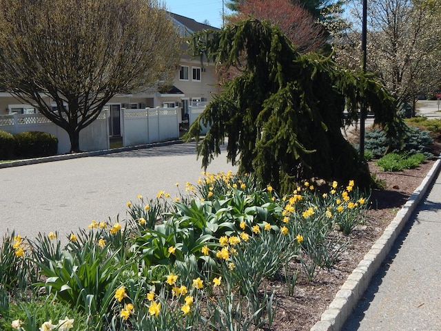 view of front of home with fence
