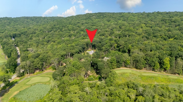 301 Fox Hopyard Rd, East Haddam, CT 06423 - view of property location with a heavily wooded area and a golf course