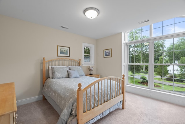 301 Fox Hopyard Rd, East Haddam, CT 06423 - bedroom featuring carpet floors