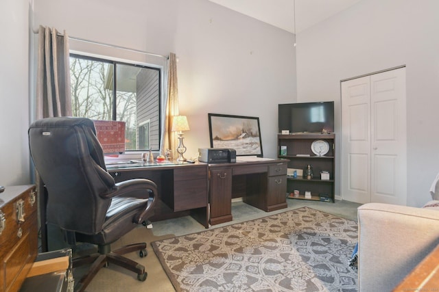 office space featuring carpet flooring