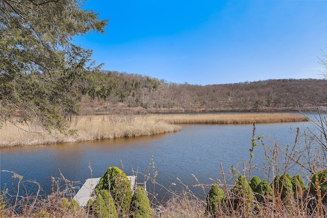 7 Ford Rd, Newtown, CT 06482 - water view featuring a heavily wooded area