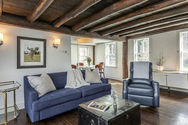 119 Town Hill Rd, Warren, CT 06754 - living room with dark wood-style floors, healthy amount of natural light, wood ceiling with exposed beams, and baseboards