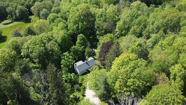 119 Town Hill Rd, Warren, CT 06754 - aerial view of property's location with a heavily wooded area