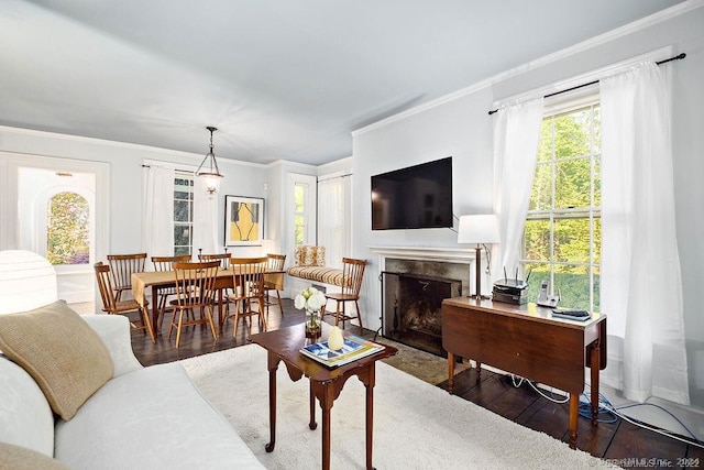 253 Tophet Rd, Roxbury, CT 06783 - living room featuring wood-type flooring, a high end fireplace, and crown molding