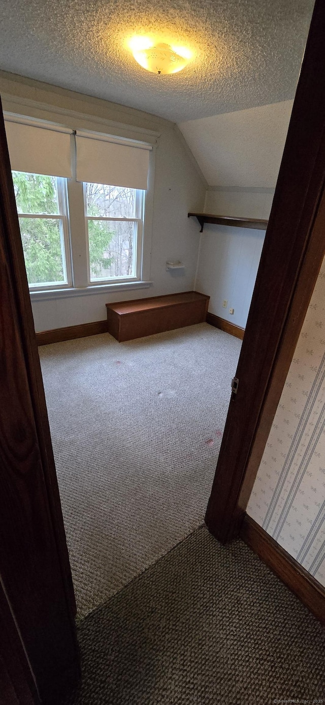 additional living space with baseboards, lofted ceiling, a textured ceiling, and carpet