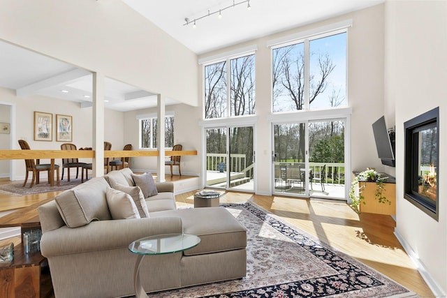 living room featuring plenty of natural light, a towering ceiling, and track lighting