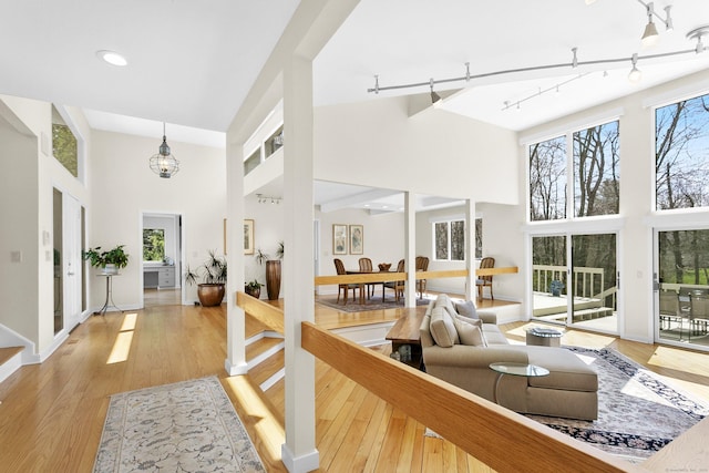 living room featuring plenty of natural light, a towering ceiling, and track lighting