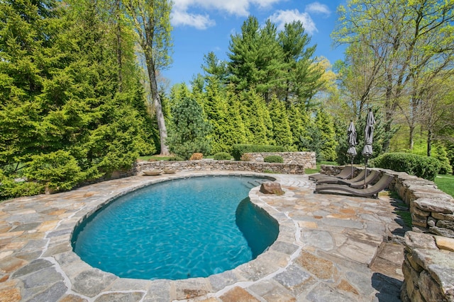 71 Boulderol Rd, Stamford, CT 06903 - swimming pool with a patio