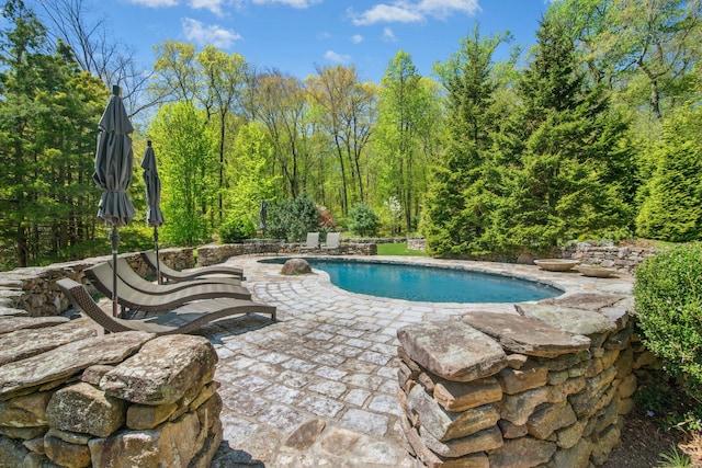 71 Boulderol Rd, Stamford, CT 06903 - outdoor pool with a patio