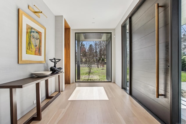entryway with wood finished floors