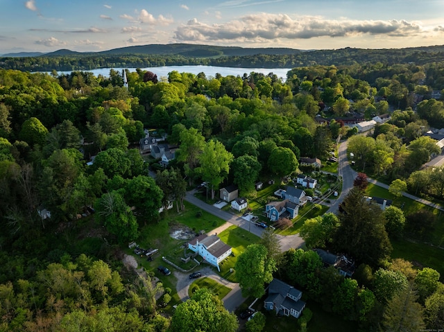 2 Perry St, Salisbury, CT 06039 - aerial overview of property's location with a large body of water and a forest