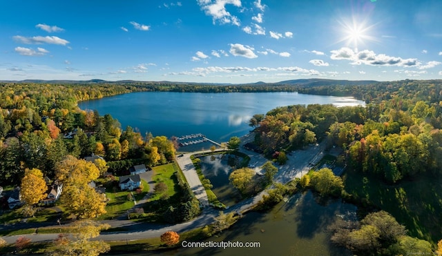 2 Perry St, Salisbury, CT 06039 - aerial view of property's location with a heavily wooded area and a large body of water