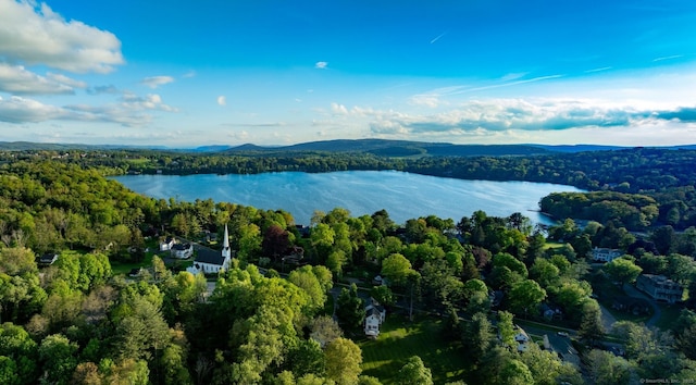 2 Perry St, Salisbury, CT 06039 - aerial overview of property's location with a water and mountain view and a forest