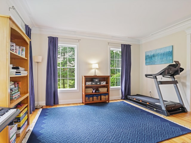 2 Arden Ln, Shelton, CT 06484 - photo 4