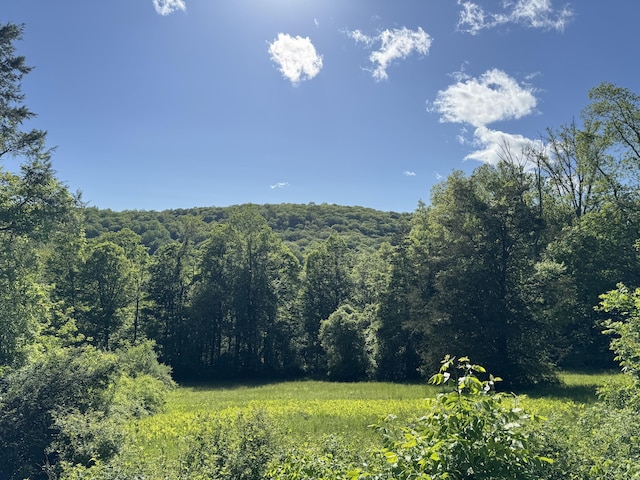 Rte 39 Route S, State Route, Sherman, CT 06784