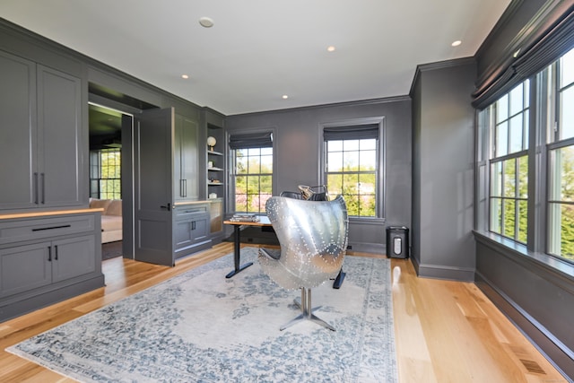 office space with a wealth of natural light, light wood-style flooring, baseboards, and ornamental molding