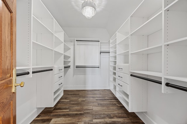 14 Turnberry Rd, Wallingford, CT 06492 - walk in closet with dark wood-style floors and a chandelier
