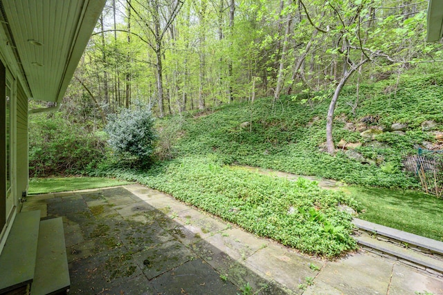 128 S Kent Rd, Kent, CT 06785 - view of yard featuring a wooded view and a patio
