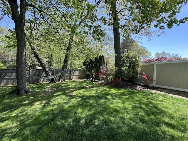view of yard with a fenced backyard
