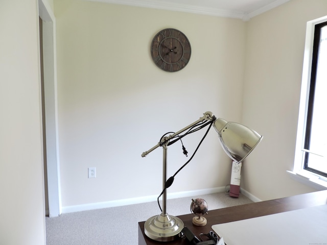 workout room with baseboards, crown molding, and carpet floors