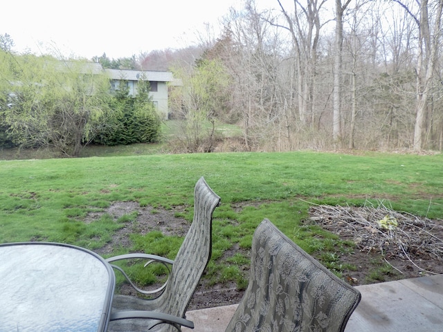 view of yard
