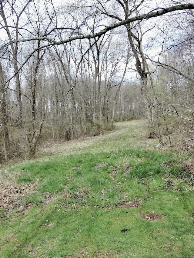 view of landscape featuring a forest view
