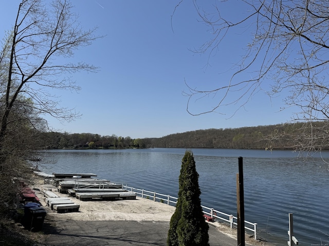 view of dock featuring a water view and a forest view